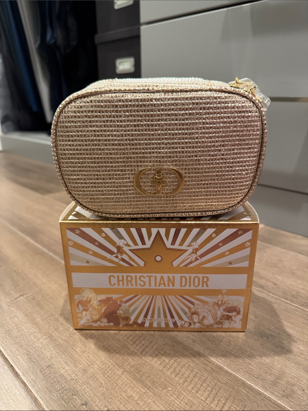 Dior Cosmetic Case